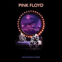 Pink Floyd, Delicate Sound of Thunder (MÚSICA)