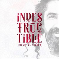 Diego el Cigala, Indestructible (MÚSICA)