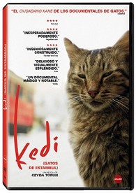 Kedi : Gatos de Estambul