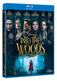 Into the Woods (2014) (Blu-Ray)